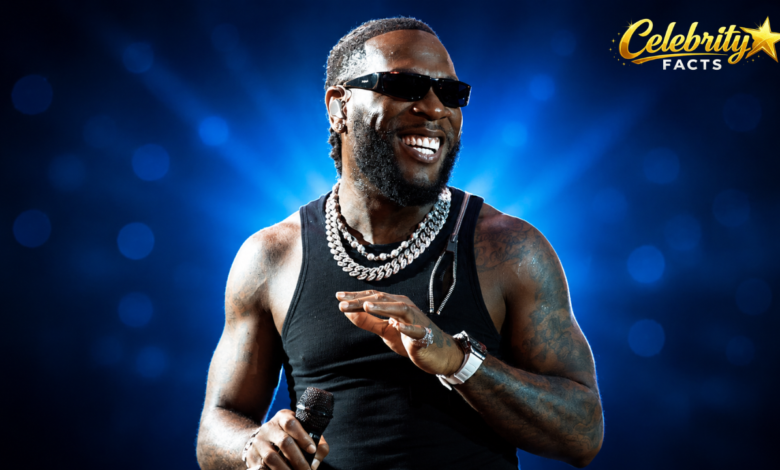 burna boy net worth