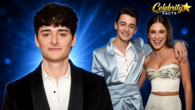 noah schnapp relationship