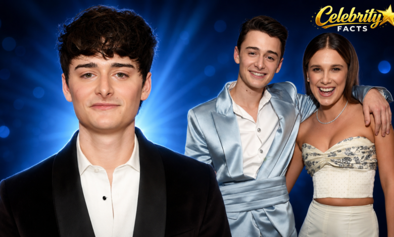 noah schnapp relationship