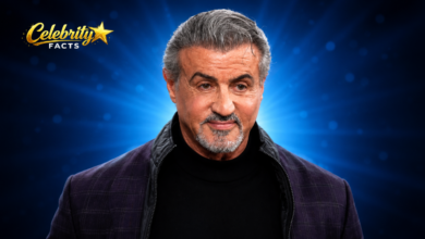 sylvester stallone net worth