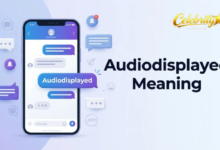 audiodisplayed meaning