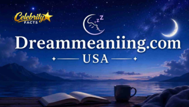 dreammeaniing.com usa