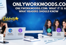 onlyworkmoods.com